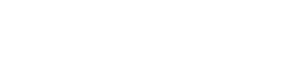 Wapiti Srl